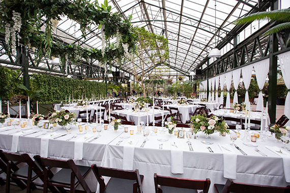 Planterra Conservatory - Mike Staff Productions - Mike Staff Productions Planterra Conservatory wedding venue west bloomfield wedding