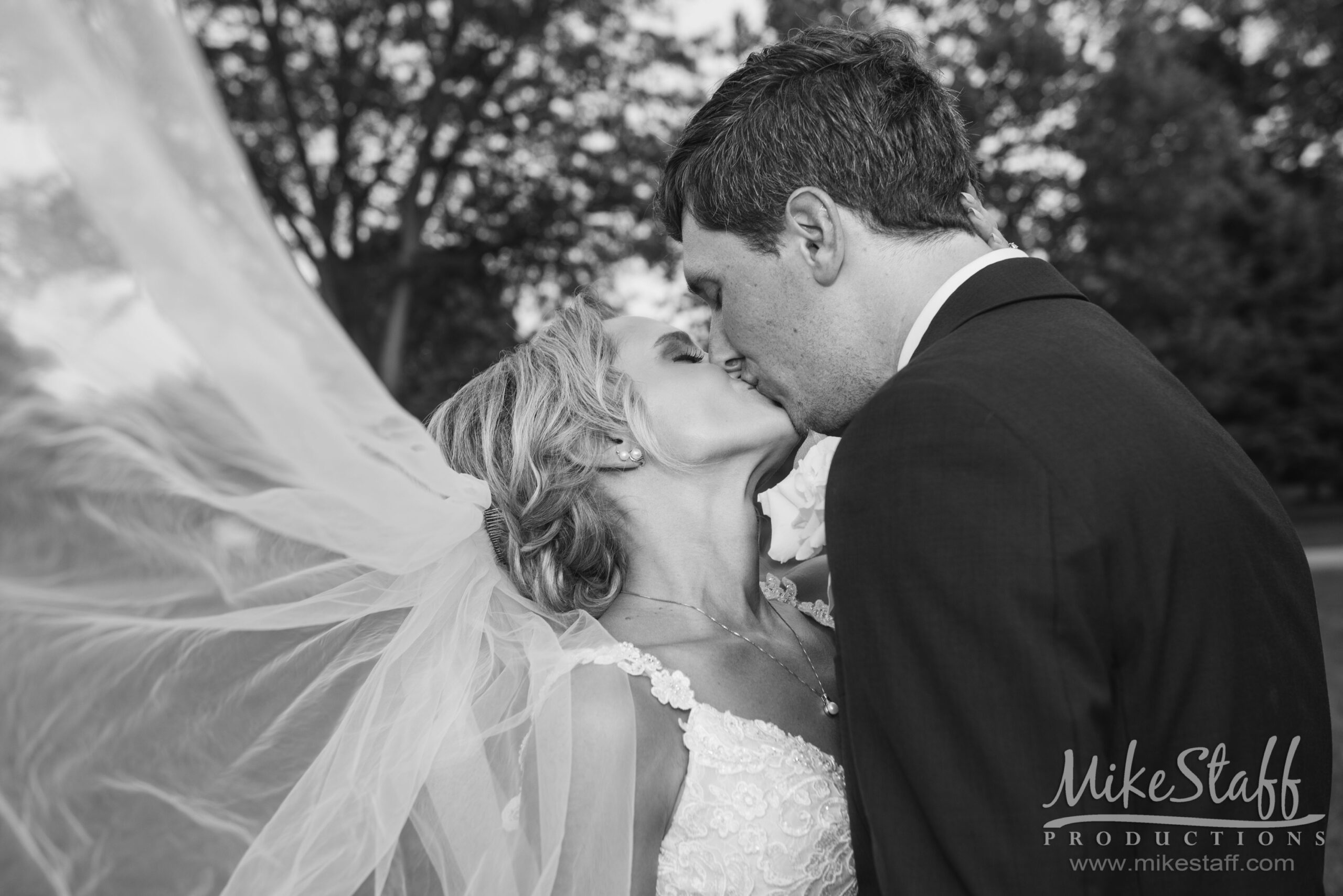 rebecca and kyle veil shot - Mike Staff Productions rebecca and kyle veil shot